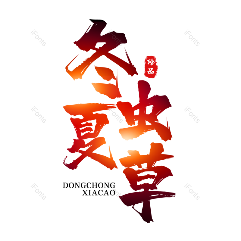 艺术字图片,夏天元素,中药PNG,字体设计免抠素材